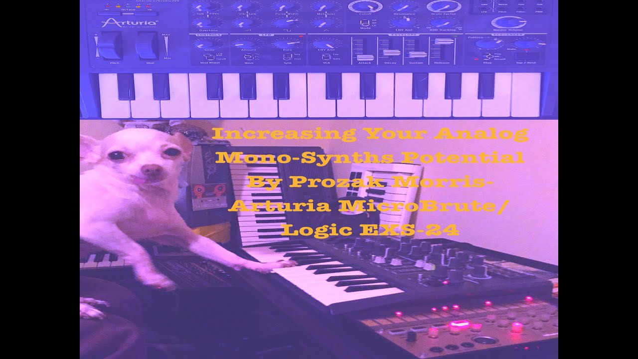 Increasing Your Analog Mono Synths Potential By Prozak Morris- Arturia MicroBrute/ Logic EXS24