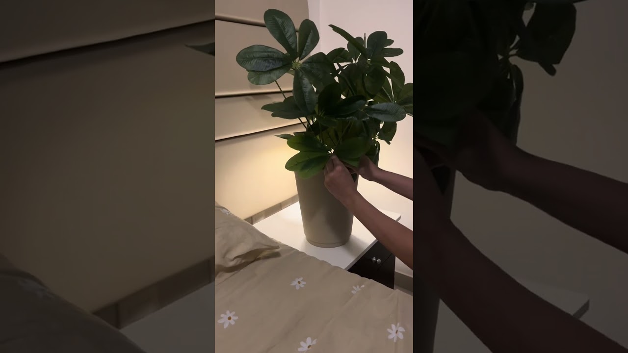 Comprei uma PLANTA na Shein 🌱 código de indicação e link nos comentários!