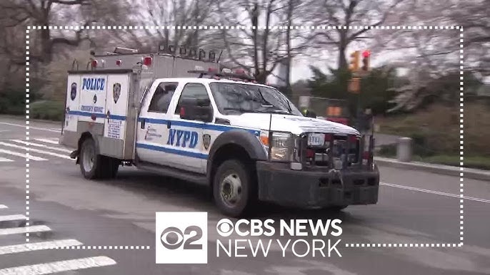 Central Park Crime Spike Prompts Police Response