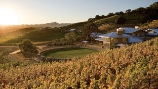 Savoring Napa's Most Reliable Cabernets