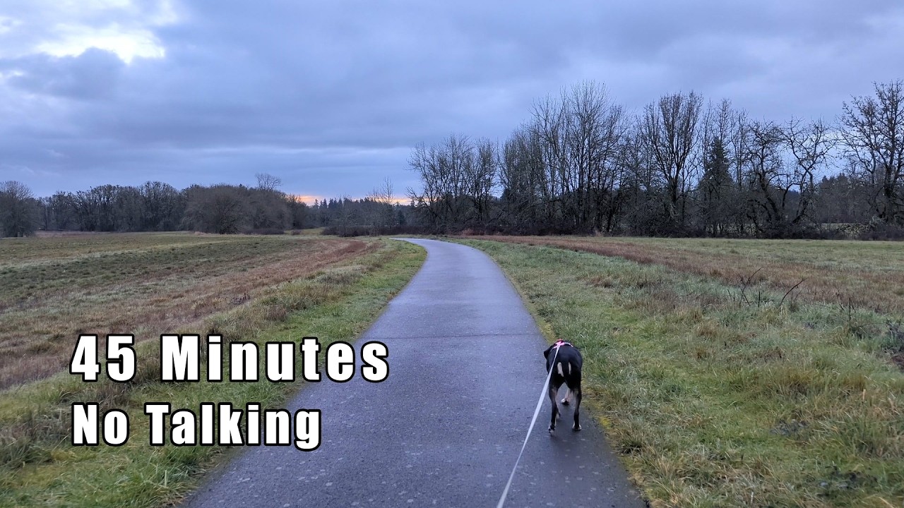 🌫️ Rainy Dawn Dog Walk | Overcast Morning at Champoeg State Park