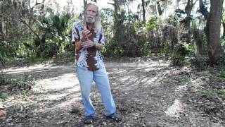 Lynyrd Skynyrd Gimme Three Steps Pt 2 Story Behind the Song