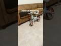 #automobile #ad #lifeisbutadream #ebike #whowillbemylifepartnerta #cyclin #ihavethisthingwithplants