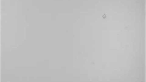 Intro to Animation Assignment: Falling Leaf