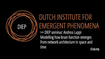 Modelling how brain function emerges from network architecture in space and time by Andrea Luppi