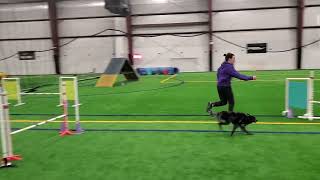Data CPE Agility Standard Level 1 (1/2)