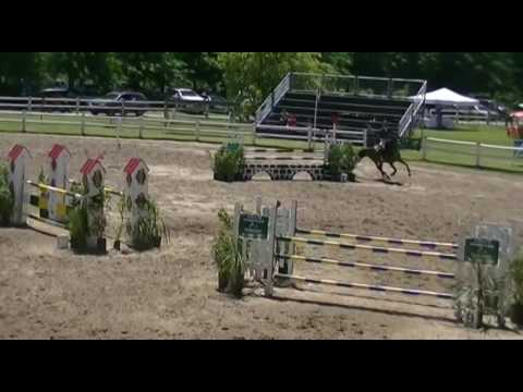 Haras San Jorge Sur - San Jorge Parisienne - Club Hípico Abril