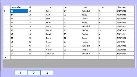 Create buttons to paging DataGridView in VB net