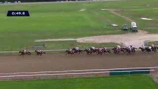Vidéo de la course PMU QATAR GRAND HANDICAP DES JUMENTS