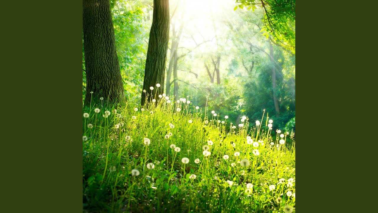 Between Earth and Sky