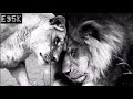 إن التسلي حرام في مذاهبنا