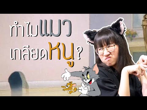 วีดีโอ: ทำไมแมวของฉัน กินหนู