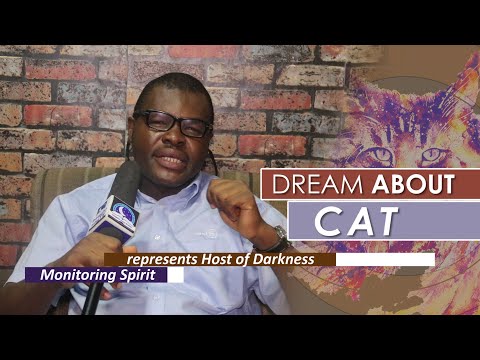 Video: How To Decipher A Dream With A Cat