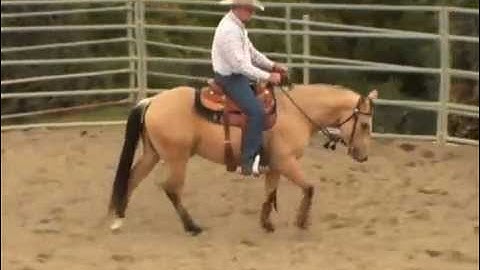 Colt Starting - The First Ride