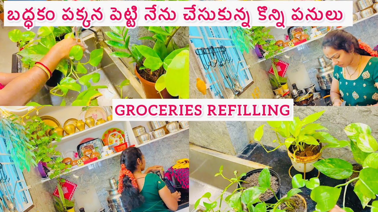 A Day In My Life|Indian Housewife Productive Day Routine|Groceries Restock|Plants Watering