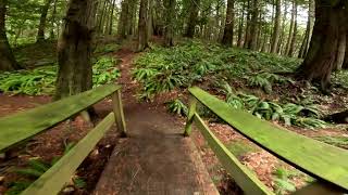 Trail Walk - GoPro Hero 12 first Hyper-wide test by Curious Bo 33 views 3 months ago 2 minutes, 52 seconds