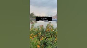 القارئ إدريس أبكر / سورة المائدة