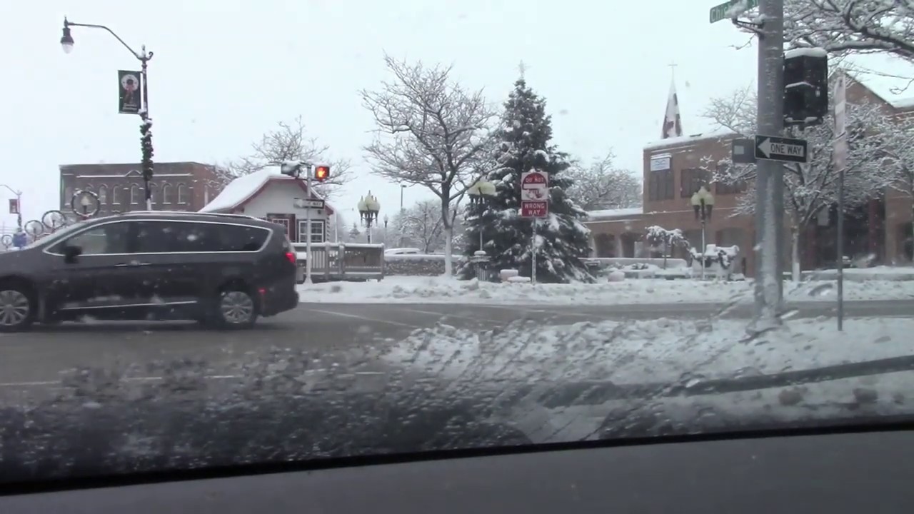 Michigan Winter Snow Storm!! Alpena Michigan Weather 2019!! Dog Jumps