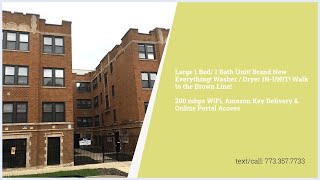 Albany Park 1 Bedroom Apartment for Rent!