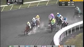 Turfway Park 12172015 Race 8