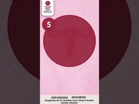 IVF Journey Step By Step 