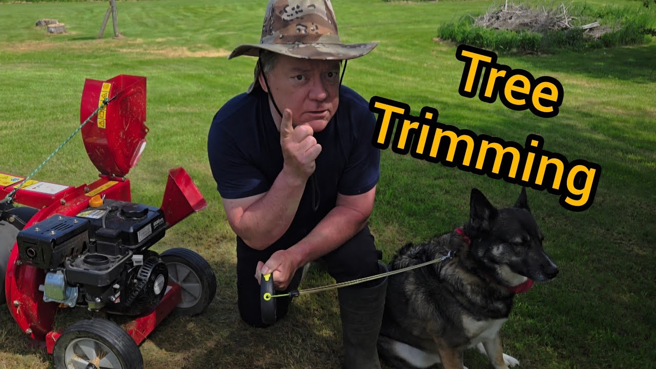 Tree Trimming - YouTube