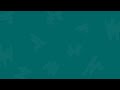 Live Scripture Study | What The Book Of Mormon Says About Why Bad Things Happen To Good People