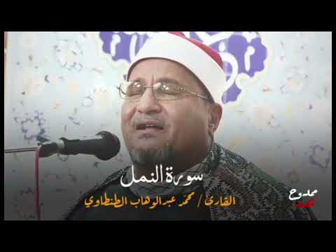 Shaykh Tantawi Surah Naml Clip فضيلة الشيخ طنطاوي سورة النمل