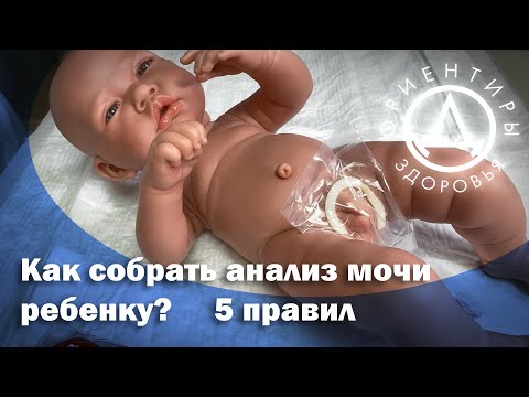 Как собрать анализ мочи ребенку? 5 правил