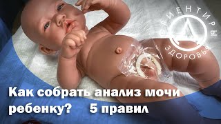 Как собрать анализ мочи ребенку? 5 правил