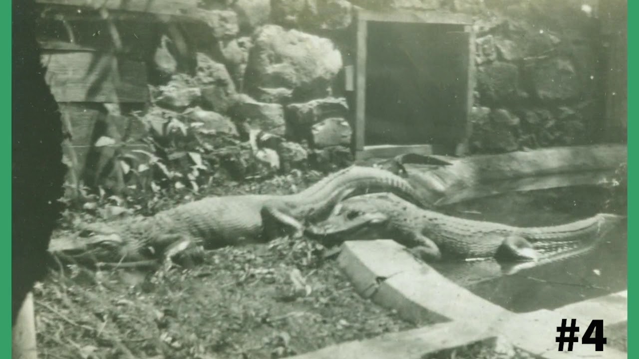 PPMU Phelps Grove History