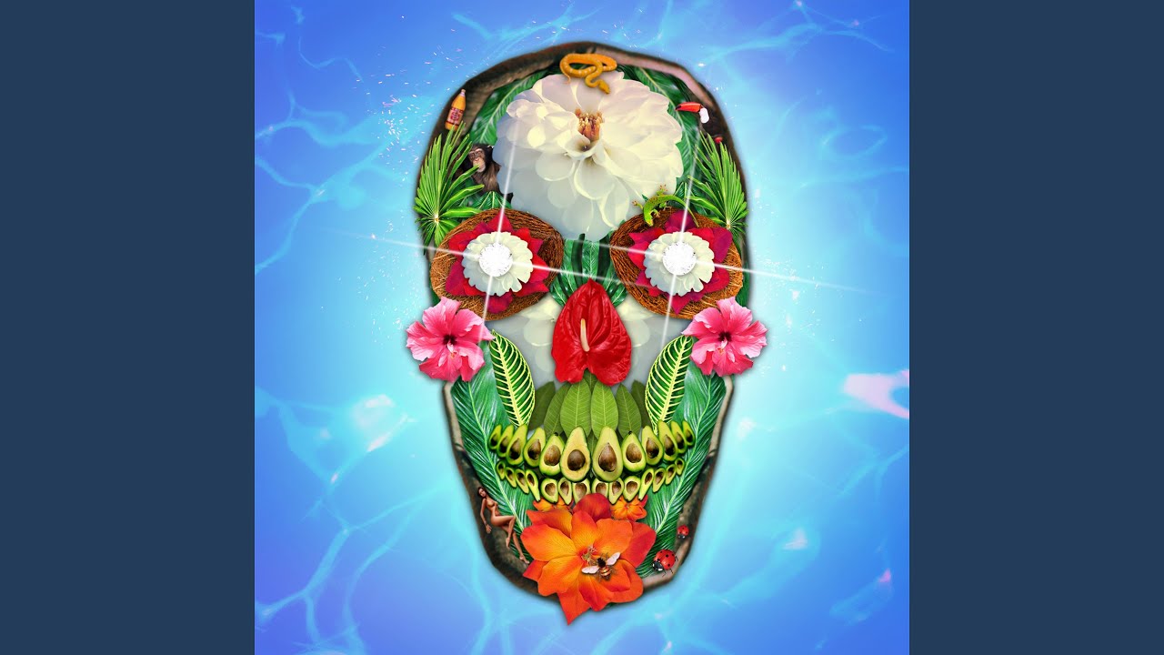 Pornicopia Niko Javan Lyrics Song Meanings Videos Full Albums Bios Iphone security settings you should check now to protect yourself from snoopers. sonichits