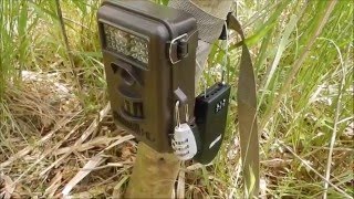 【into the field】トレイルカメラを使ったアニマルトラッキングの練習