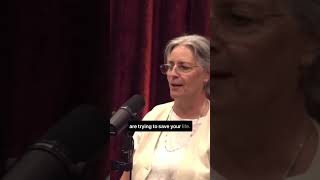 Inflammation is your MESSENGER