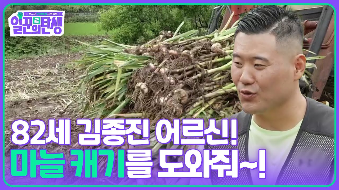 82세 김종진 어르신! 마늘 캐기를 도와줘~! [일꾼의 탄생 시즌2] | KBS 250716 방송
