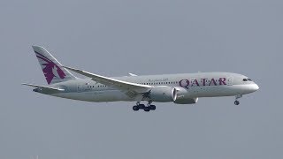 Qatar Airways Boeing 787 landing at Vienna Airport A7 BCF