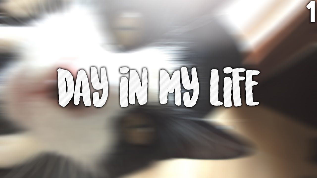 MY CAT IS CRAZY !? (Day in my life) - ►Yo if you enjoyed the video don't forget to smash that like button     and Subscribe ! 