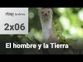 El hombre y la tierra: Capítulo 24 - Los pequeños matadores II | RTVE Archivo