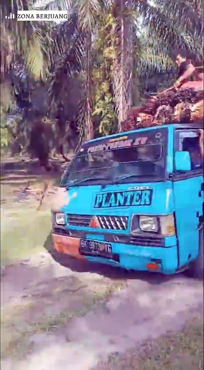 Cctv Tapanuli Tengah sibolga Manduamas dan tumbajae #sawit
