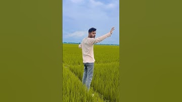 Chaleya Song Jawan movie #jawan #chaleya