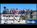 Black Forest middle school students work to regrow burn scar