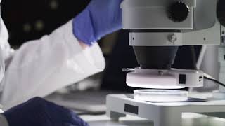 Celebrity GenPath Oncology Profile