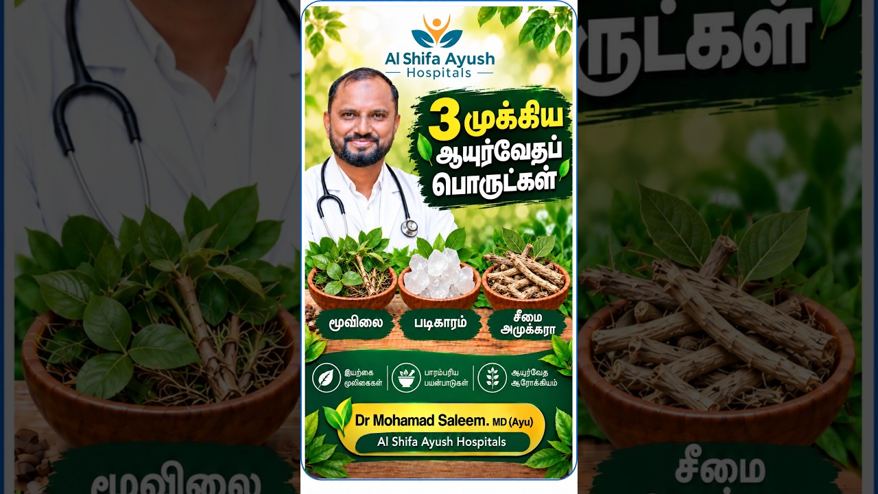 மூவிலை, படிகாரம் & சீமை அமுக்கரா | 3 முக்கிய ஆயுர்வேதப் பொருட்கள் | குணங்கள் & பாரம்பரிய பயன்பாடுகள்