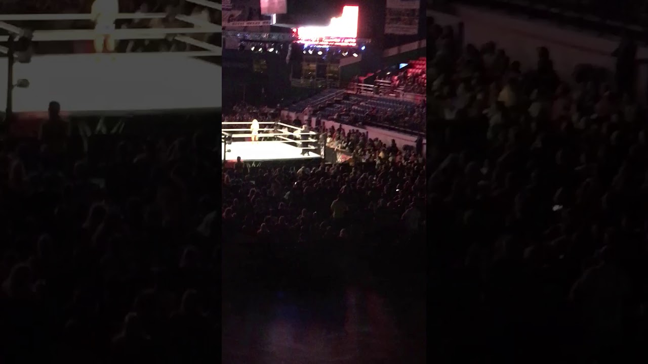 Bayley Vs Charottle VS Nikki Cross Entrance