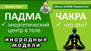 Урок №5 | Энергетические центры тела Человека. | Общая Мера чужого Знания.