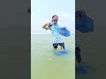 New USA River Fishing Trap Experiment #fishing #shorts #shortsvideo #short #viral #trap #bigfish