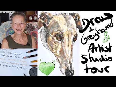 Comment dessiner un lévrier