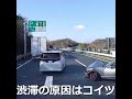 渋滞の原因はコイツ