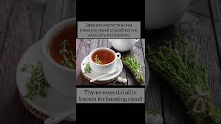Тимьян , он же -чабрец.Полезные свойства.Benefits of thyme. #thyme#shorts#чебрец #тимьян#здоровье #.