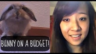 Bunny Onna Budget - Saving on supplies
